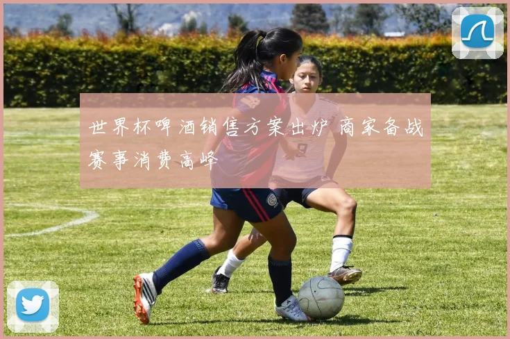 世界杯啤酒销售方案出炉 商家备战赛事消费高峰